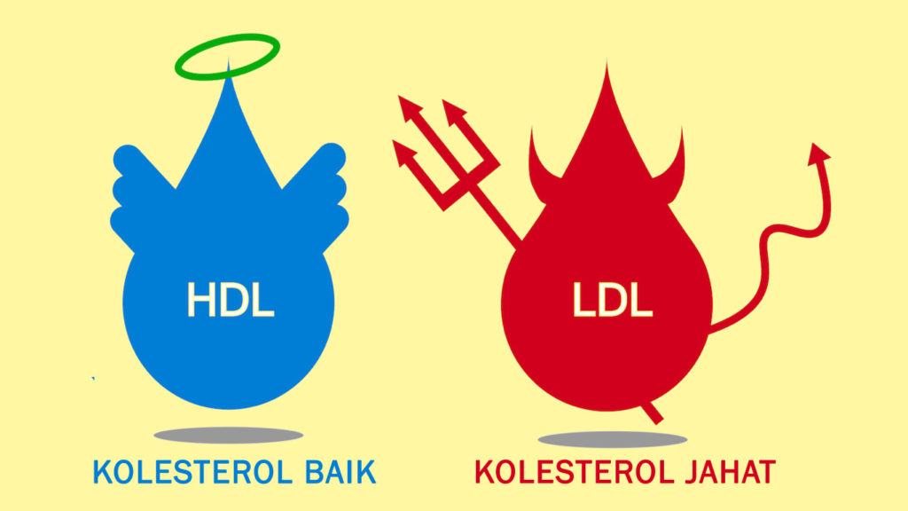 Diagram perbedaan LDL kolesterol jahat dan HDL kolesterol baik